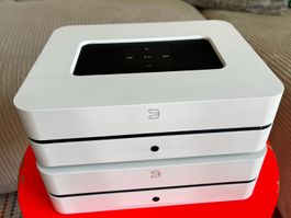 2 x Bluesound International Powernode 2