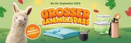 Grosser Sammelspass - 6 volle Karten