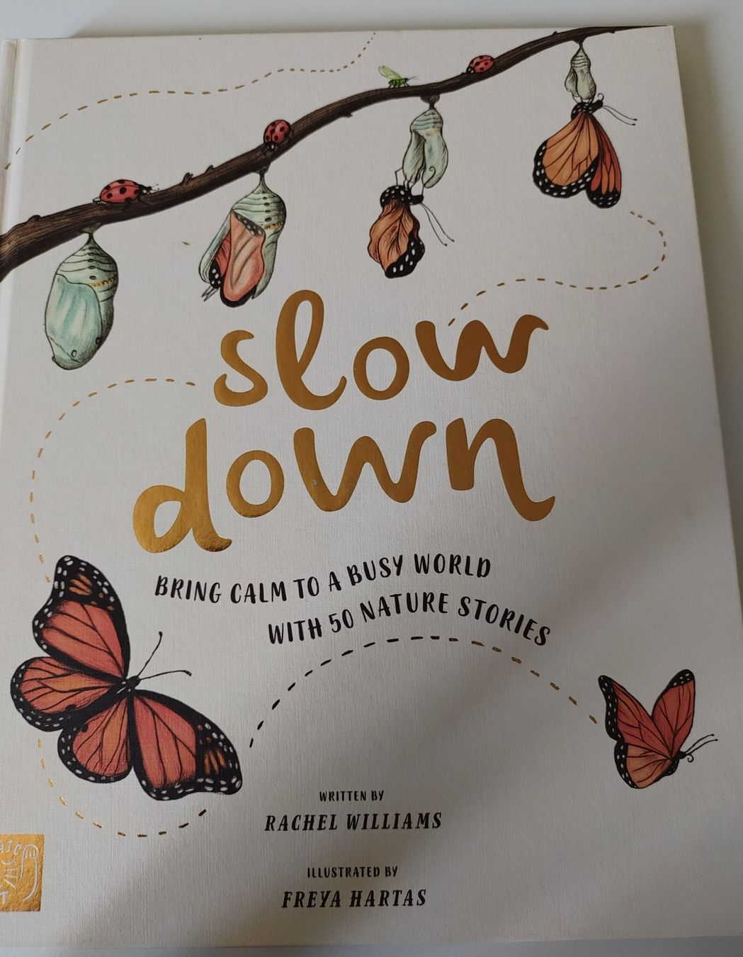 Libri: Children's Book: Slow down – Usato da Zürich venduto da Mar_Mic