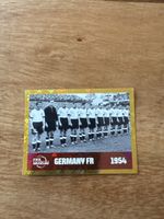 Panini fwc 11