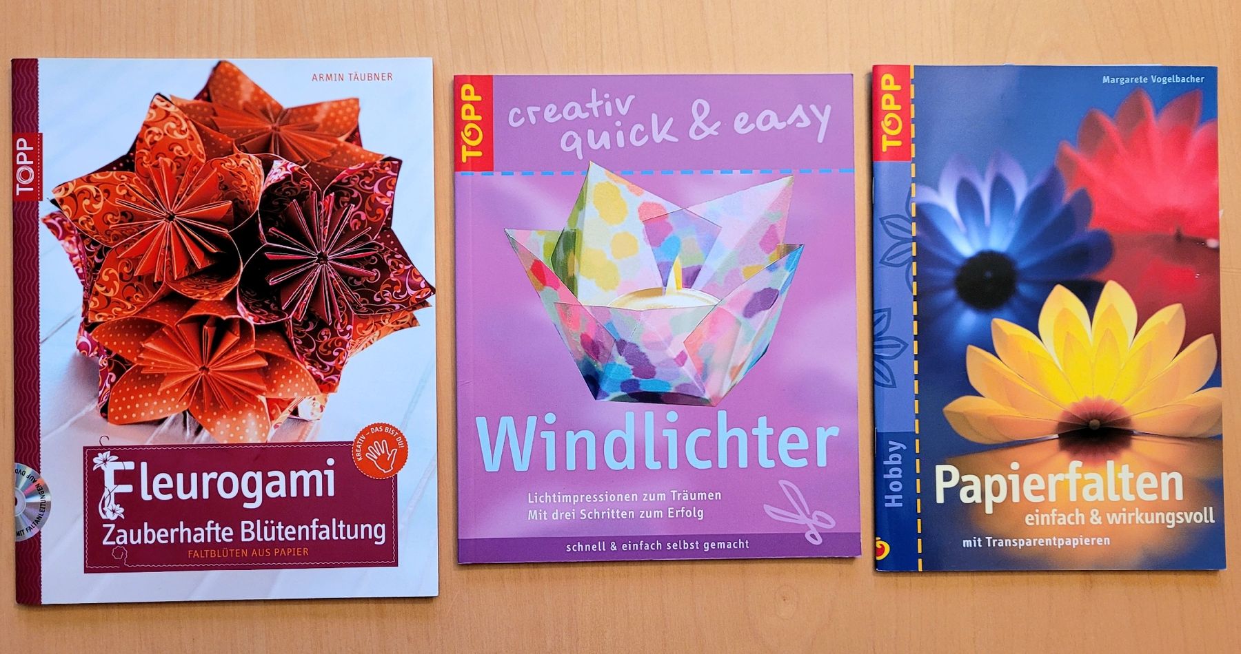 Bücher: Papierfalten Windlichter Fleurogami – Gebraucht aus Madiswil von Laubfleck