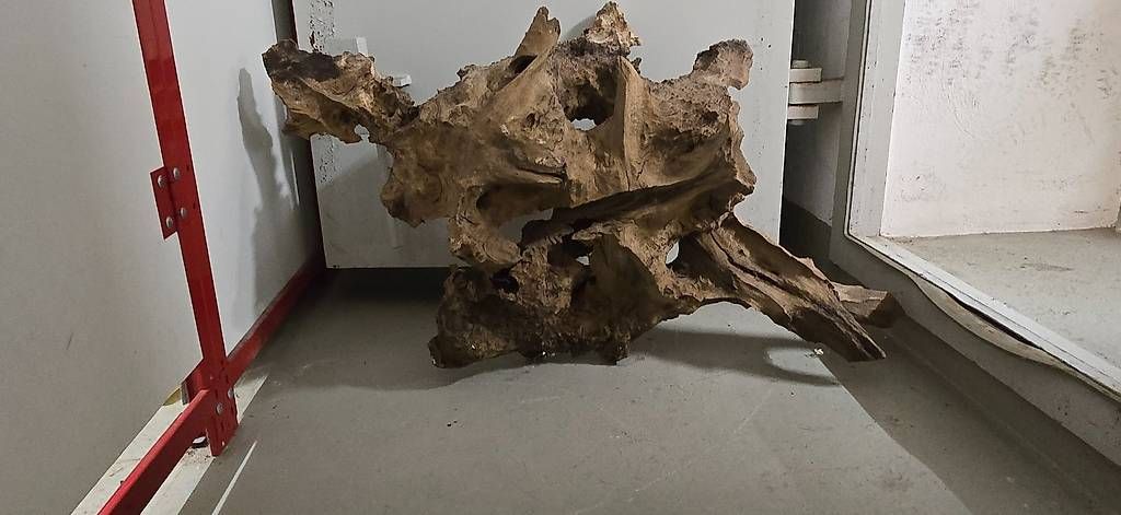 Articoli in legno: Einzigartige Savannenholz Wurzel – Usato da Horn venduto da Cyres67 4