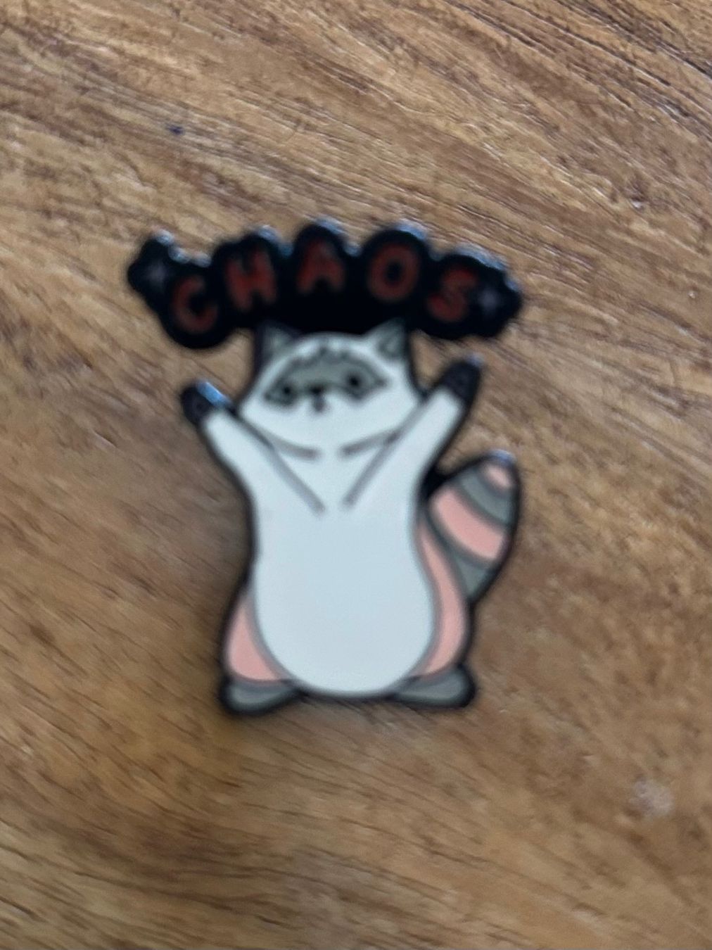 Placchette & Badge: Lustiger Pin Waschbär Chaos – Nuovo e nell'imballaggio originale da Geneve venduto da vane267