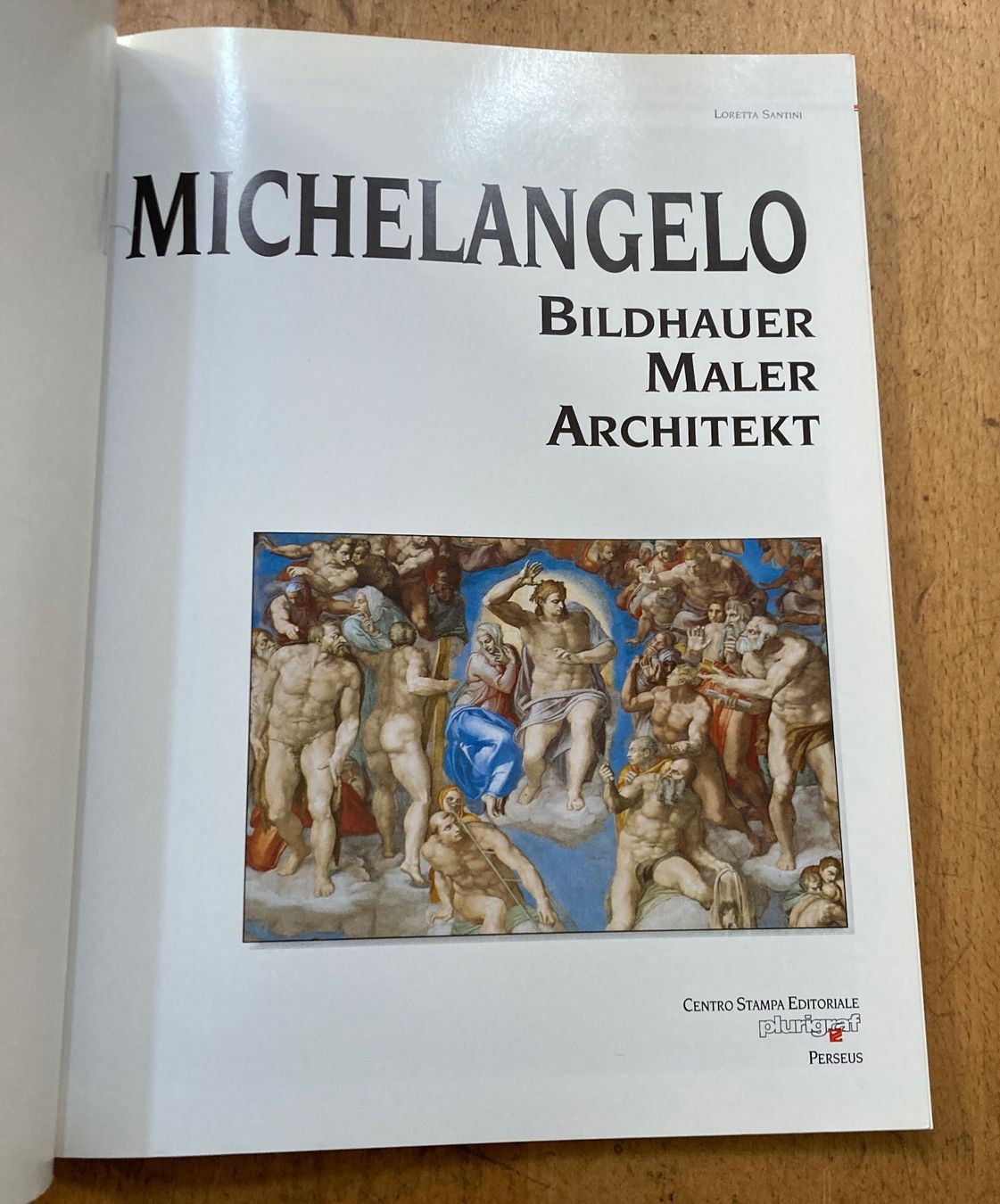 Libri: Michelangelo (Bildhauer - Maler - Architekt) – Usato da Riehen venduto da Albi2010 1
