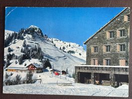 Bretaye, Les Bouquetins