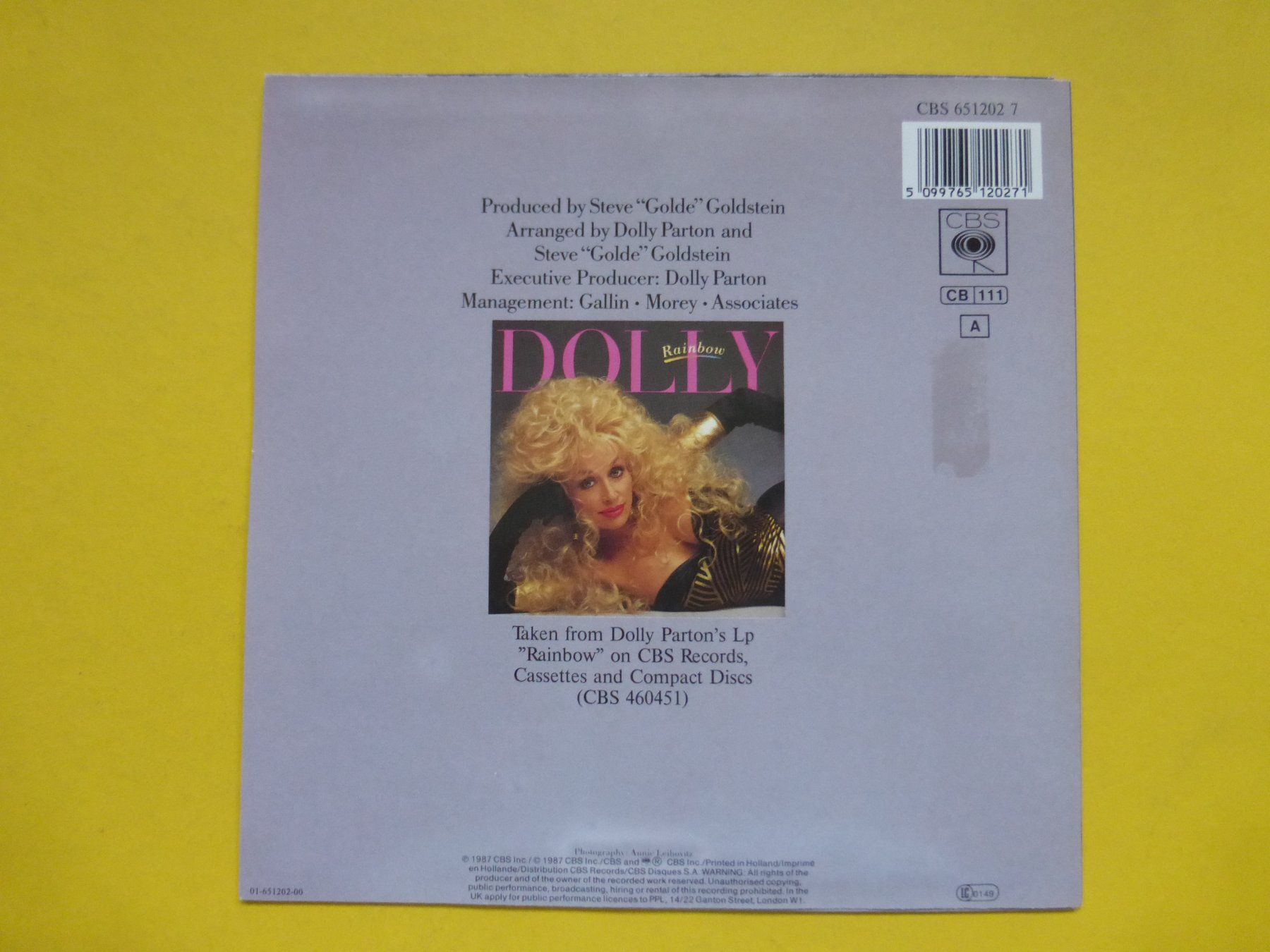 Dischi in vinile: Dolly Parton – The River Unbroken – Usato da Zürich venduto da Swiss57 1