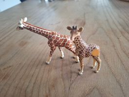 2 süsse Giraffen Figuren für Kinder 🦒🦒, 1 Tiptoi