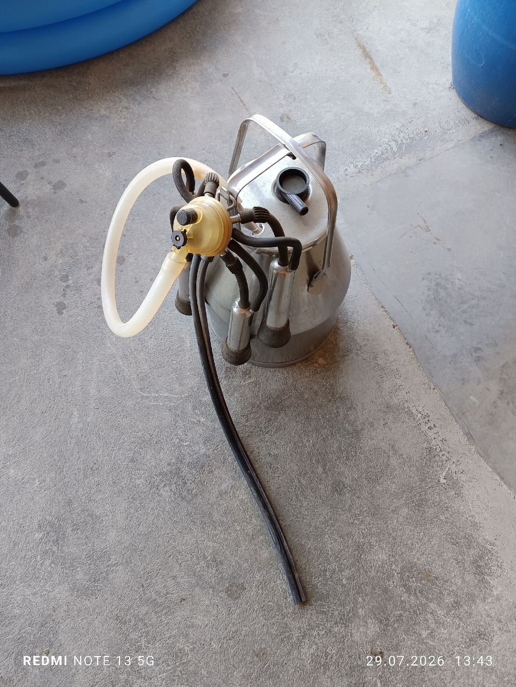 Delaval Tutte le macchine: Melkmaschine Kessel Delaval – Usato da Wengi b. Büren venduto da jabangi