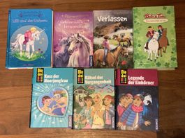 Bücher die drei !, Sternenschweif, Bibi und Tina