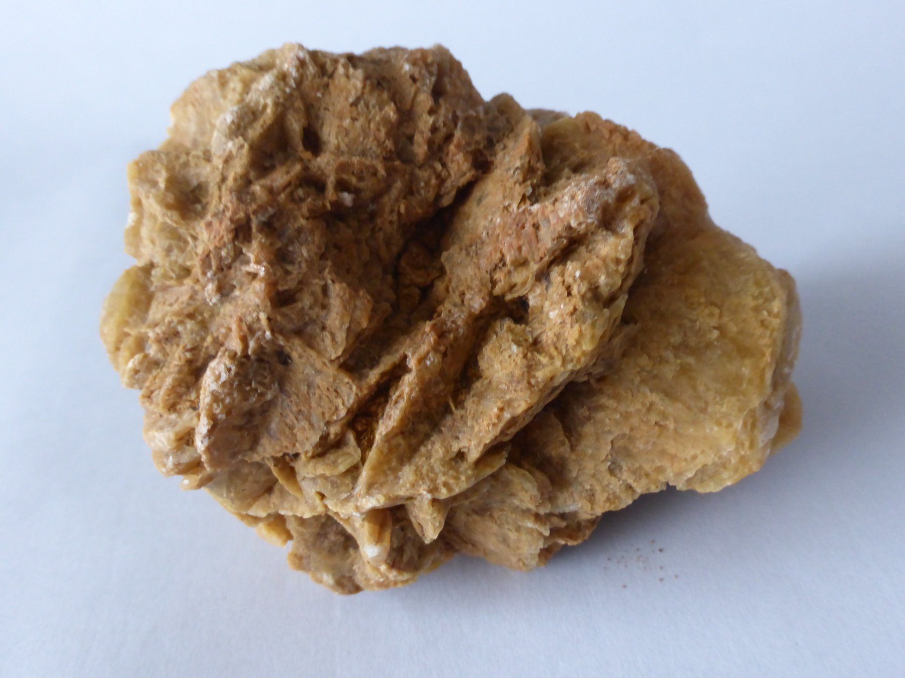 Mineralien & Heilsteine: Schweizer Gipsrose (Sandrose) – Gebraucht aus Triengen von Nussbaum14 2