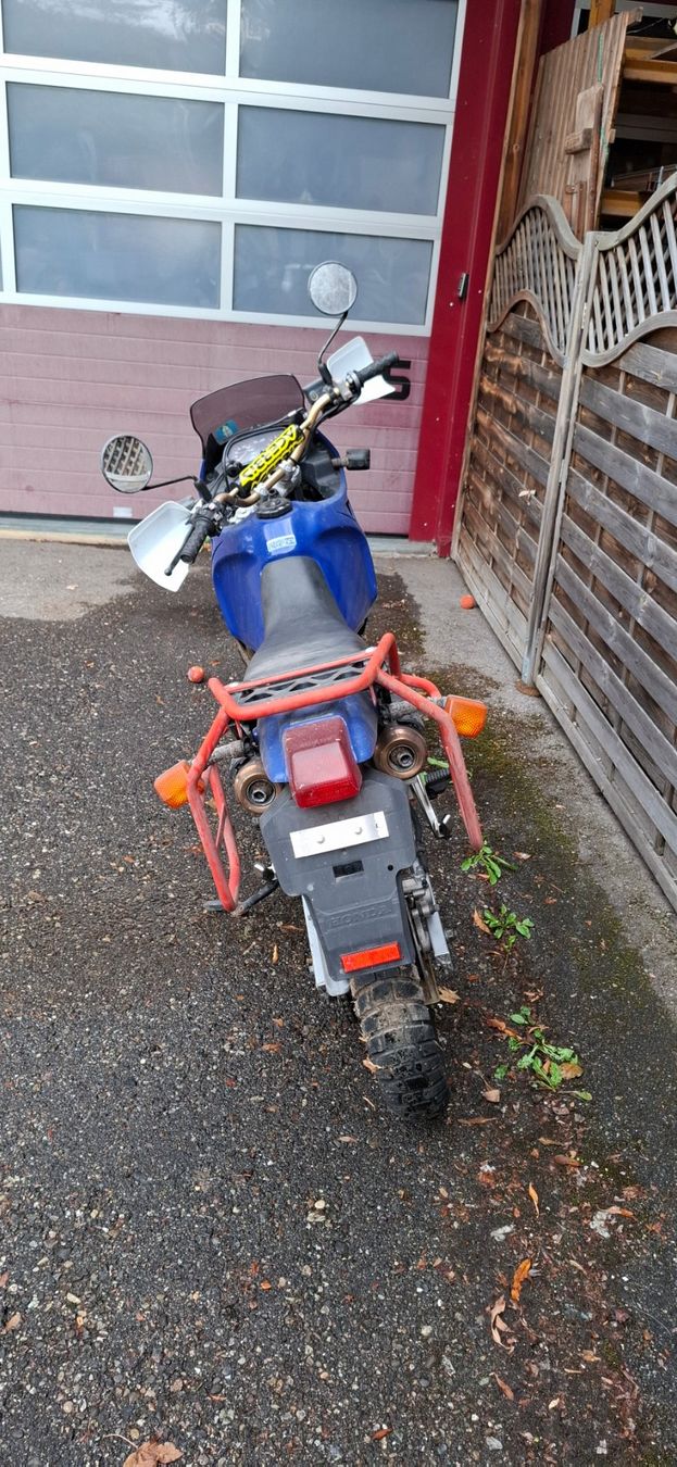 Honda Enduro: Honda NX 650 Dominator – Usato da Niederdorf venduto da SwissShinobi 1