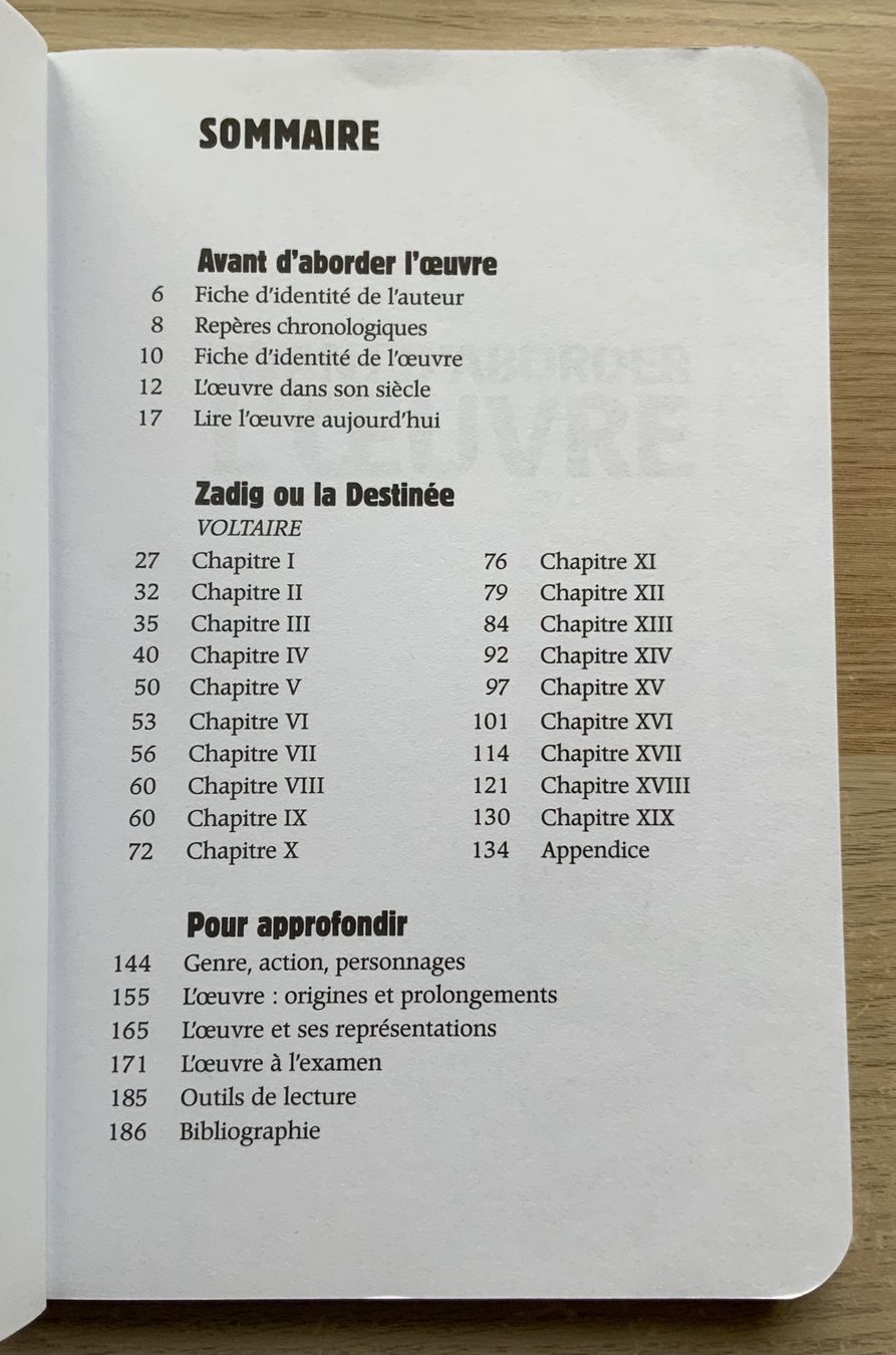 Libri: Zadig – Usato da Eschenbach SG venduto da someonecake 2