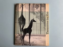 Gotthard  SCHUH  -  Tiermütter im Zoo