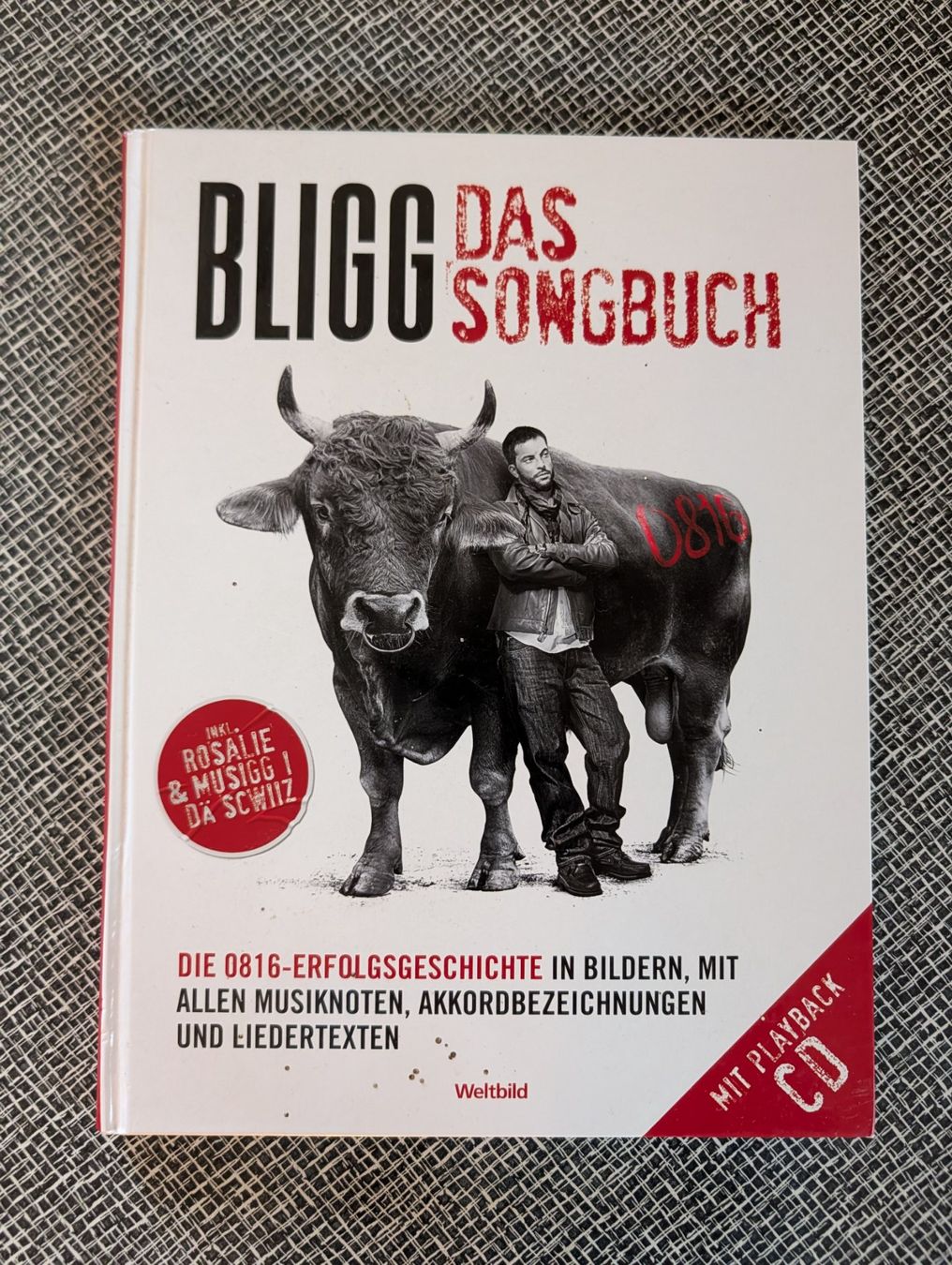 Libri: Bligg Das Songbuch 0816 mit CD – Usato da Nänikon venduto da Haexli_70