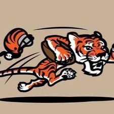 Profile image of bengalsbungle