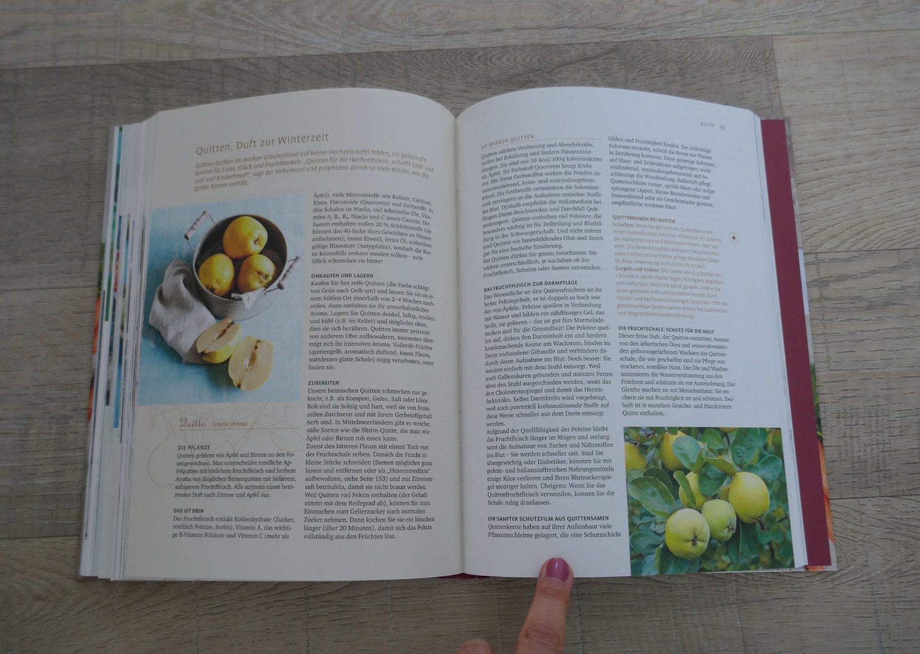 Libri: Heilkraft von Obst & Gemüse – Usato da Port venduto da uzuku 5