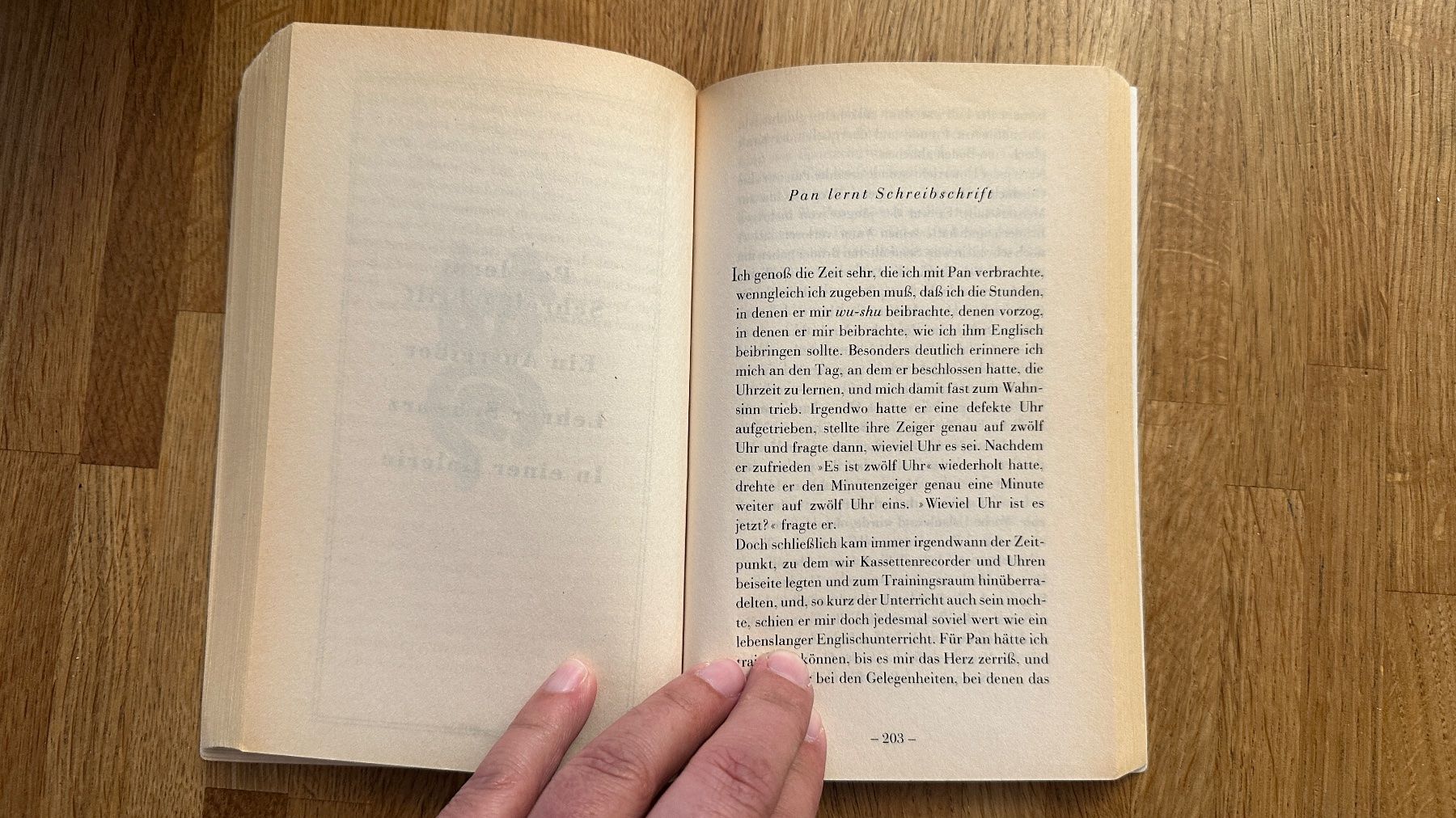 Libri: Buch - Eisen und Seide Mark Salzman – Usato da Winterthur venduto da Secondhand-Family 2