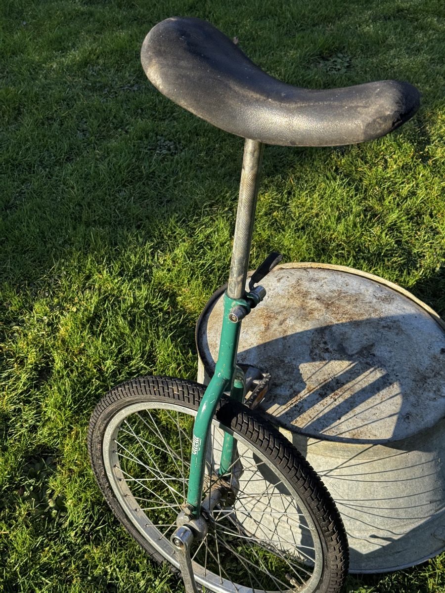 Biciclette: Einrad - Grün 20zoll – Usato da Stüsslingen venduto da leo_nzh6 2