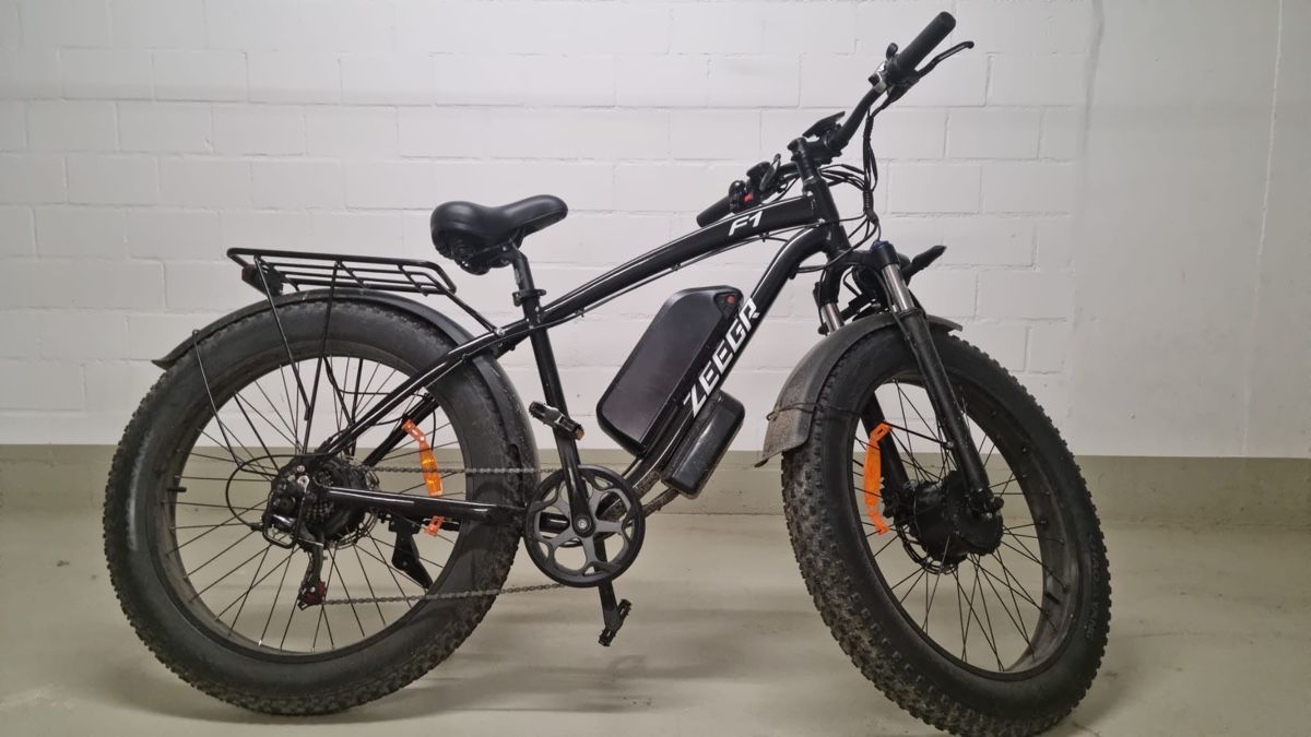 Biciclette: Zeegr F1 Dual Motor E-Bike – Usato da Pratteln venduto da Salva4133 1