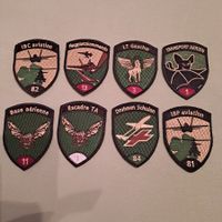 Luftwaffen Badgeset
