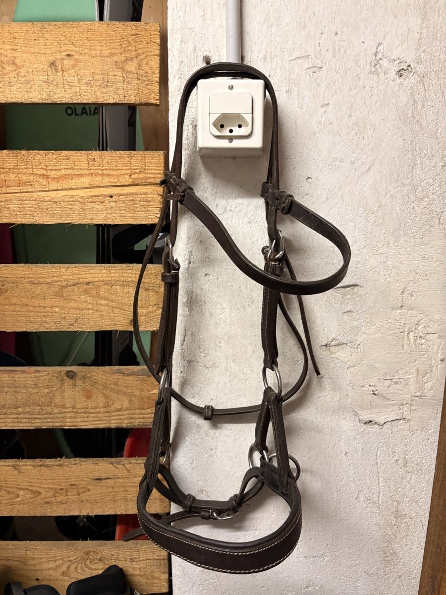 Felix Bühler Briglie & Cavezze: Sidepull-gebissloser Zaum aus echt Leder – Nuovo (secondo la descrizione) da rheinfelden venduto da han_xcw9