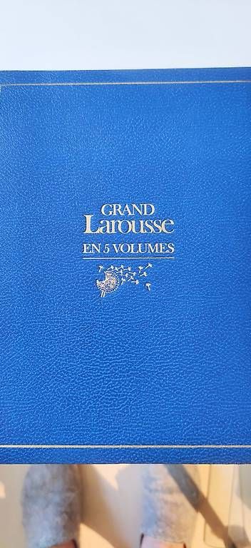 Libri: Grand Larousse en 5 volumes – Usato da Bussigny venduto da polochon49