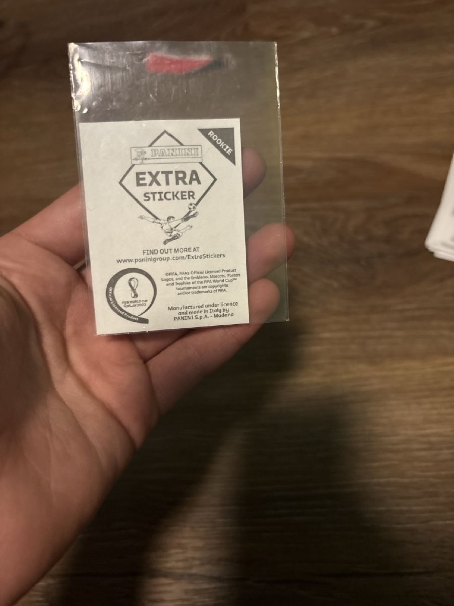 Panini Carte collezionabili: Ryan Gravenberch extra Sticker Bronze 2022 – Nuovo (secondo la descrizione) da Baltschieder venduto da tigersword 1
