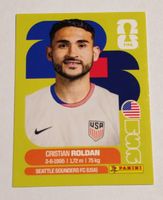 Cristian Roldan - USA 11