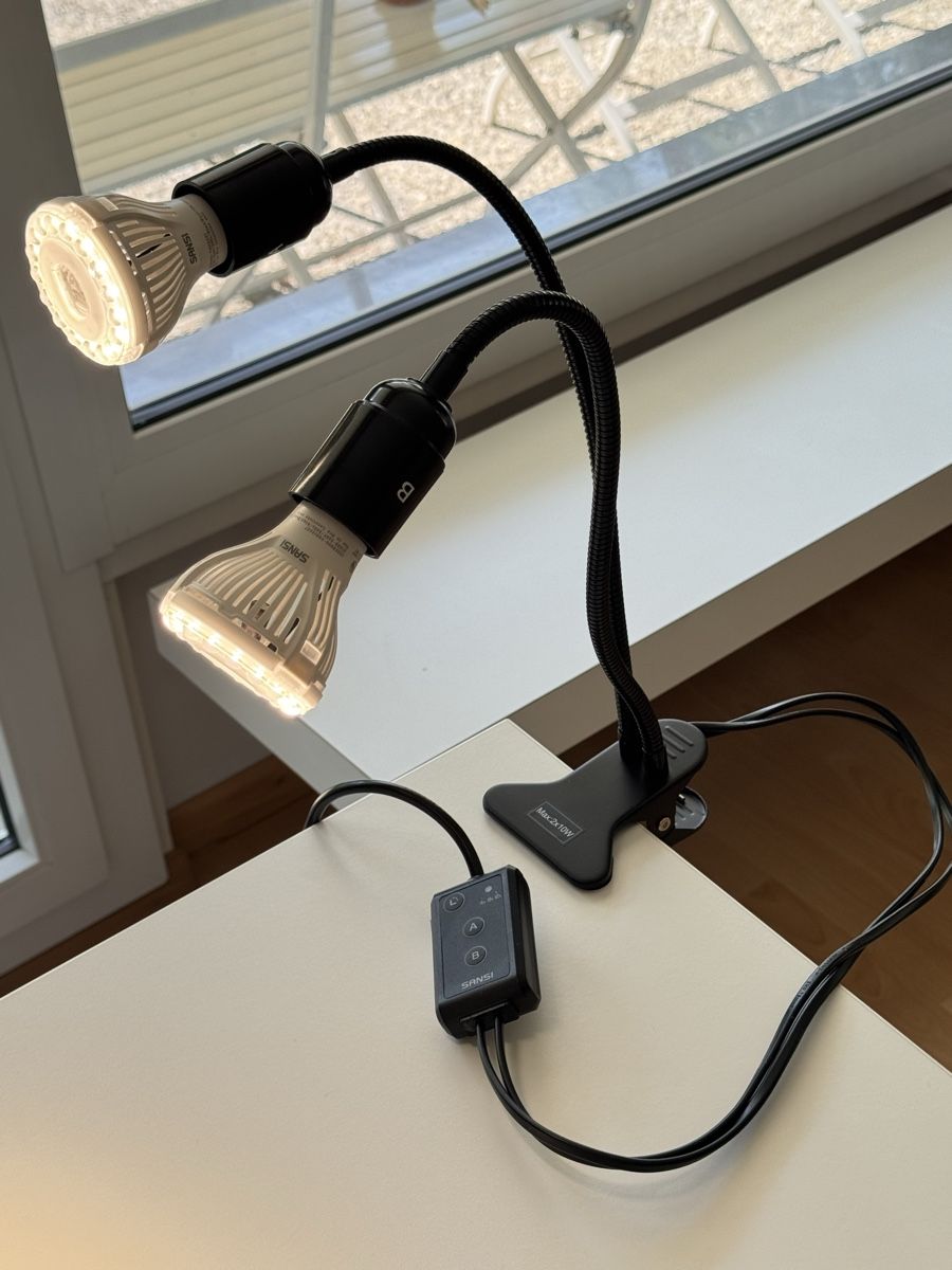 Lampade: SANSI Vollspektrum-Pflanzenlampe – Nuovo (secondo la descrizione) da St. Gallen venduto da yul_lfs7