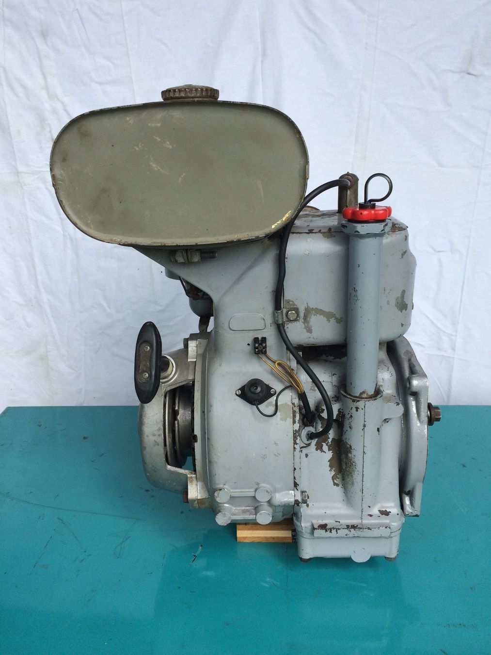 Motori: Mag Motor 1040 zu Rapid 505 – Usato da Wiliberg venduto da Monikaschaer 3