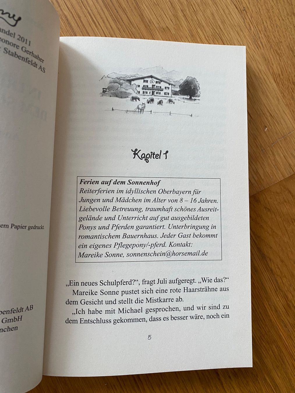 Libri: Buch "Ferien auf dem Sonnenhof" – Nuovo (secondo la descrizione) da Riedholz venduto da lenibeni03 3