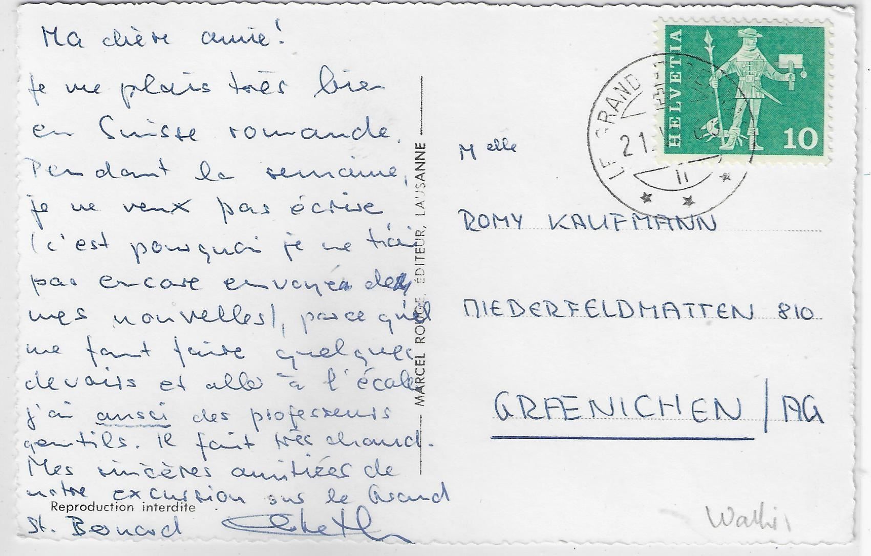 Cartoline postali: Grand St. Bernard - Multiview - Hunde – Usato da Ettingen venduto da Kartenplanet 1
