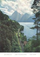 Vierwaldstättersee (LU) – Gotthardbahn entlang des Sees zug