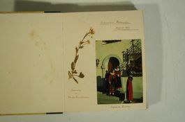 Photoalbum Schweiz  50er Jahre
