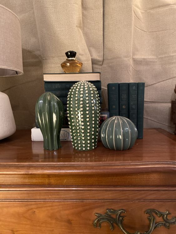 Ikea cactus Kaufen auf Ricardo