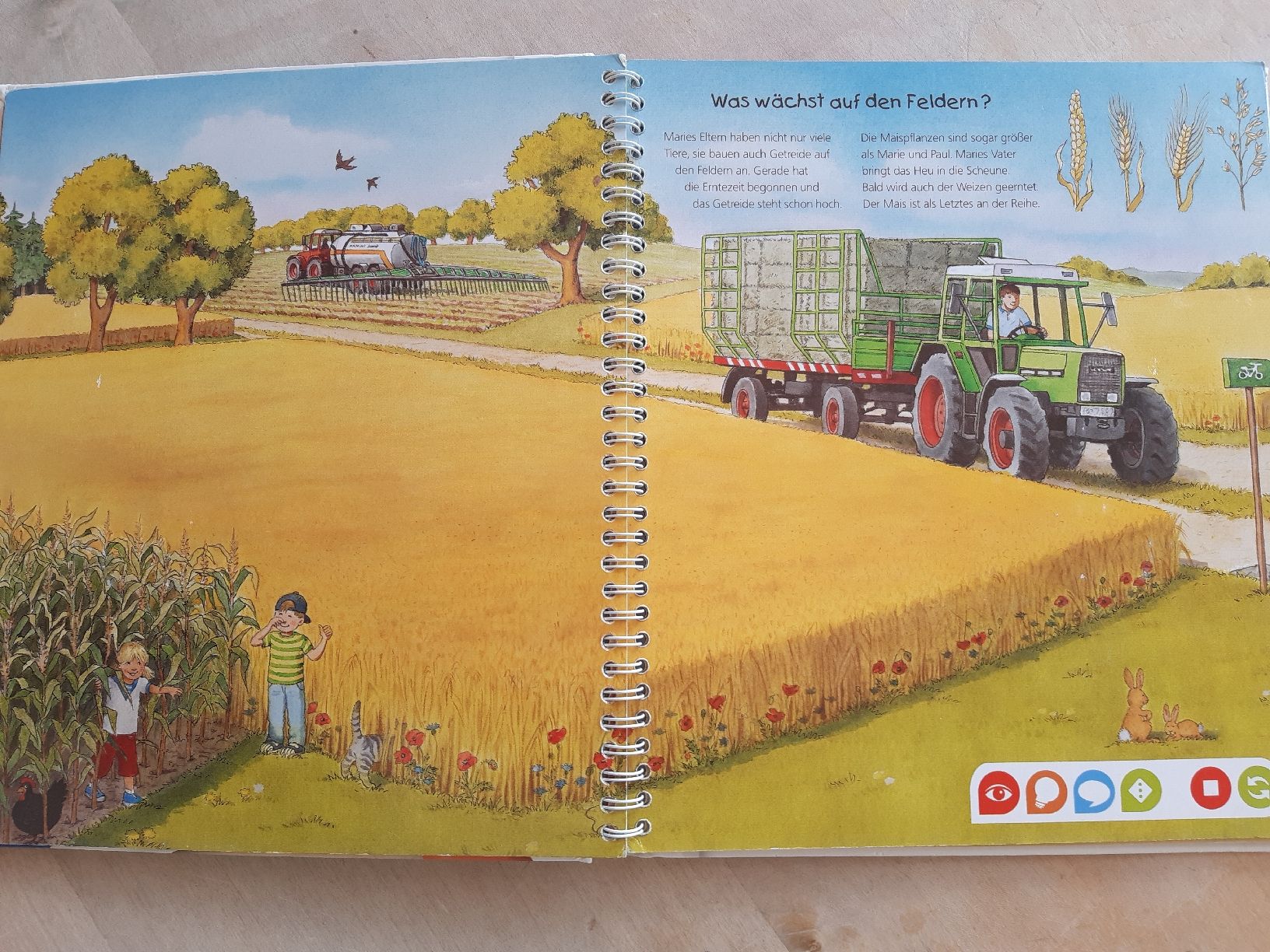 Bücher: Kinderbuch: Entdecke den Bauernhof – Gebraucht aus Spiegel b. Bern von hopplas 6
