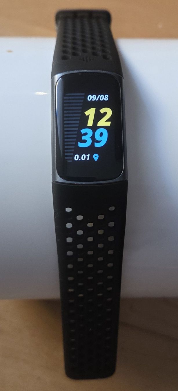 Fitbit Smartwatch: Fitbit Charge 5 - Works BUT... – Difettoso da Zürich venduto da CarlosCapri 1