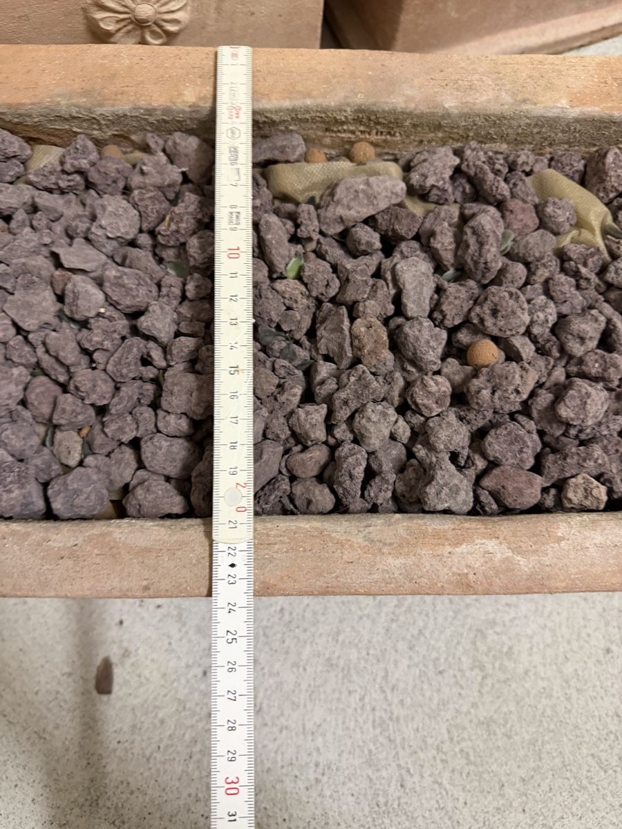 Blumentöpfe: Blumentrog Impruneta Terracotta – Gebraucht aus Wettingen von NickInc 3