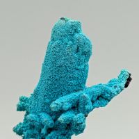 CHRYSSOKOLLE Pseudomorphose von AZURIT und MALACHIT, ELEGANT