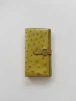 Hermès Strauß  exotische Leder bearn  Kiwi