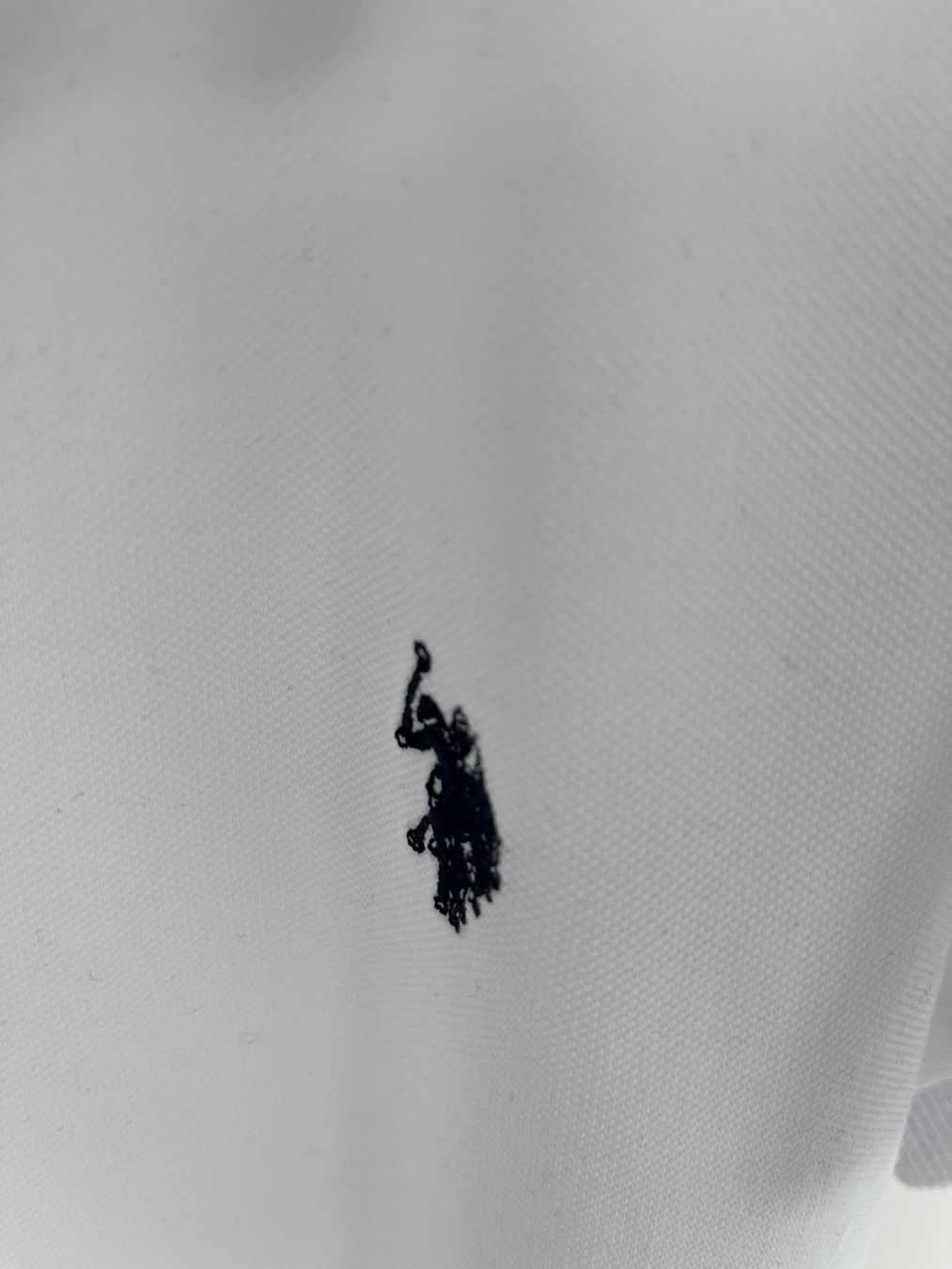 Hemden, T-Shirts & Polos: Polo Shirt – Neu (gemäss Beschreibung) aus Roggwil BE von KarotteV 3