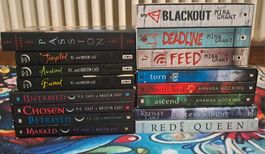 Big Book package