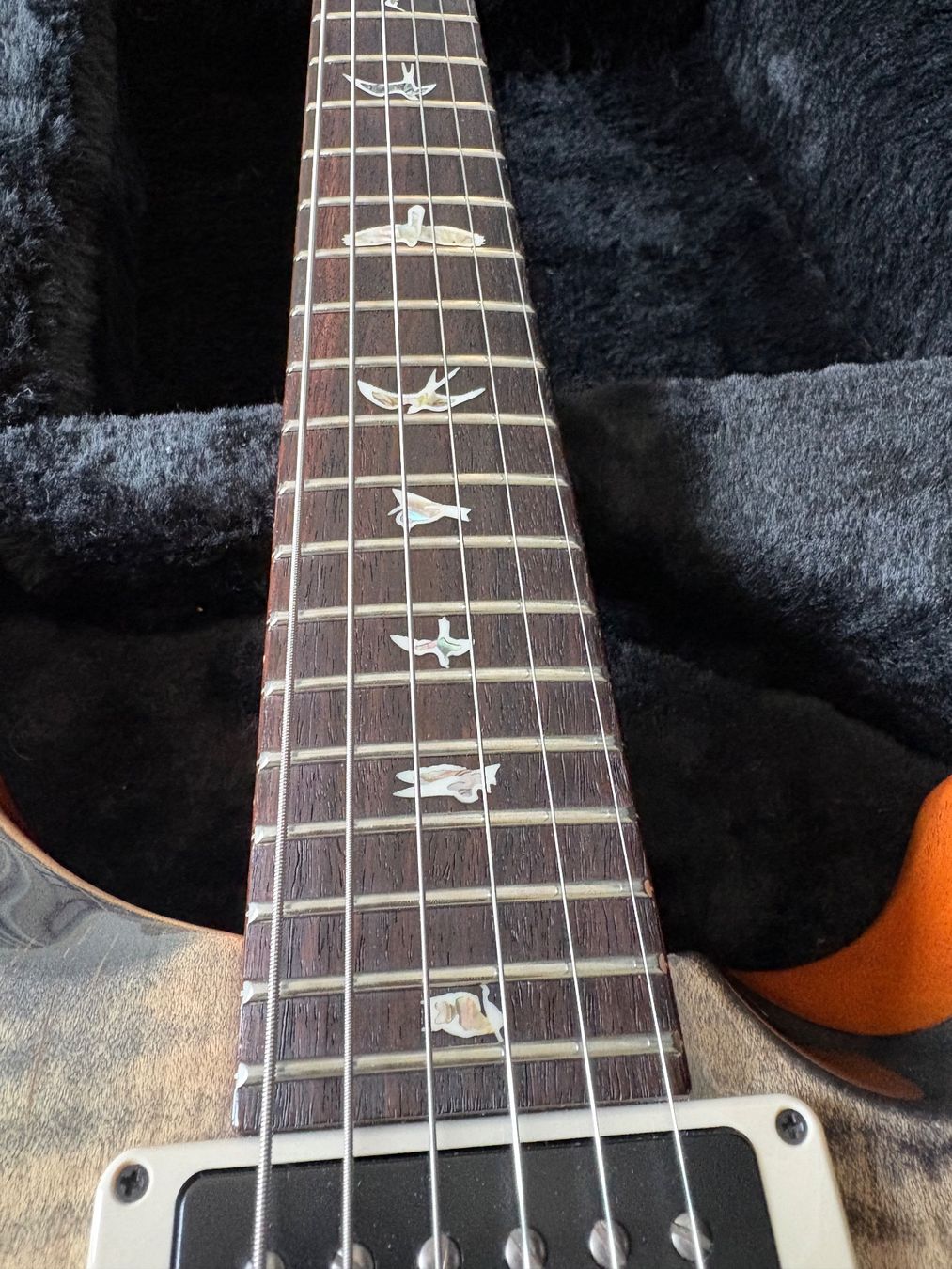 PRS Strumenti musicali: PRS Custom 24 Charcoal 2019 (Core USA) – Usato da Horw venduto da SpaceDweller 5