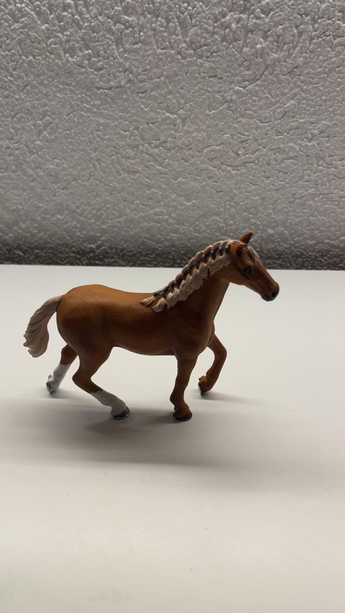 Welt der Tiere: Cheval shleish en bon état  – Gebraucht aus Avenches von Rose-rose 2