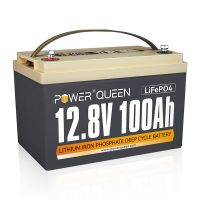 Power Queen LiFePO4 12V 100Ah Batterie