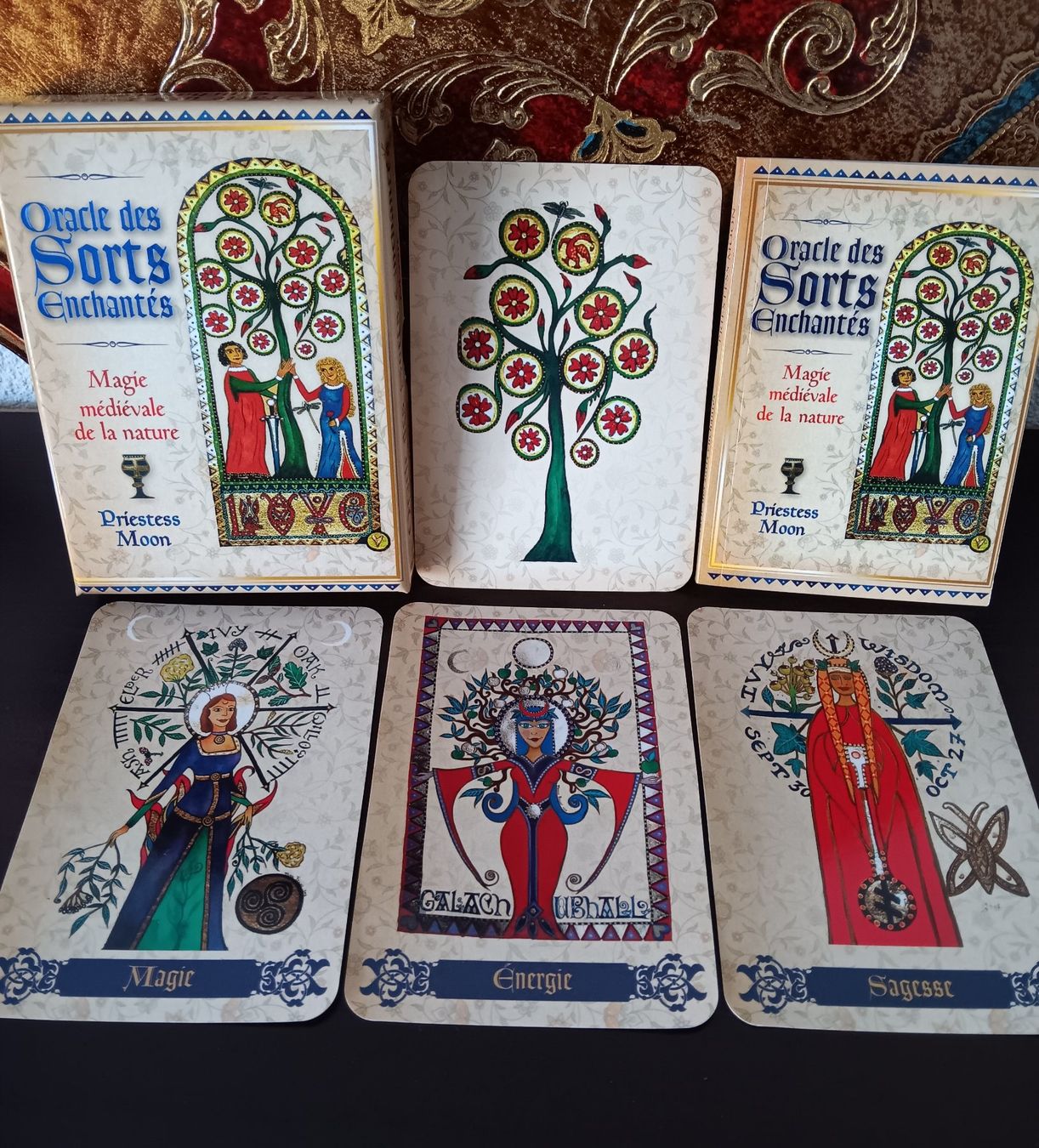 Libri: Oracle des Sorts enchantés – Nuovo (secondo la descrizione) da St-Maurice venduto da LaPipistrella