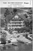 Flugaufnahme - Hotel Schweizerhof - Weggis