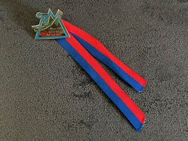 Pin Alpen Ski 1992-93