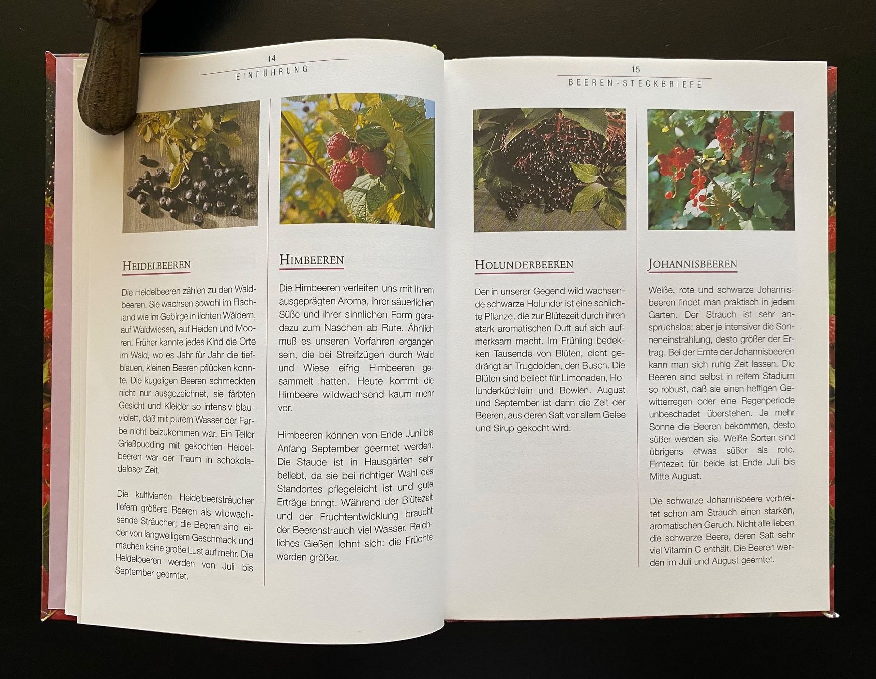 Libri: DIE BEEREN-KÜCHE – Usato da Nussbaumen AG venduto da schuba2000 3