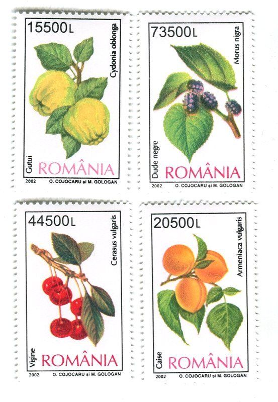 Tutti i francobolli: Briefmarken "Obst & Beeren". Rumänien. – Nuovo e nell'imballaggio originale da Basel venduto da Butsch5